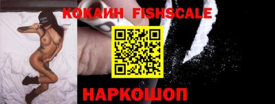 прущие крисы Абакан