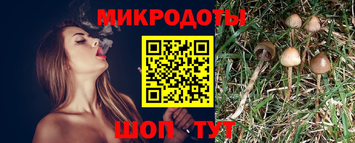Псилоцибиновые грибы MAGIC MUSHROOMS  Галлюциногенные грибы Cubensis  Алейск  Вход с VPN 